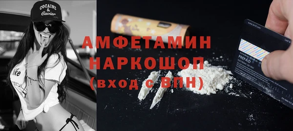 прущие грибы Карталы