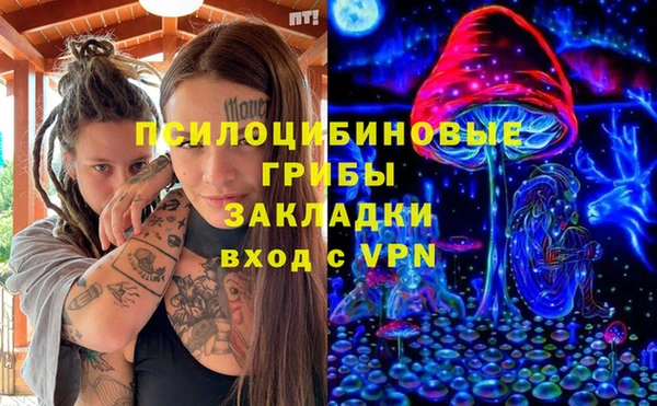бошки Касимов