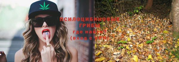 прущие грибы Карталы