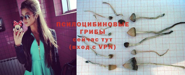 COCAINE Карпинск