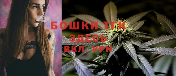 прущие грибы Карталы