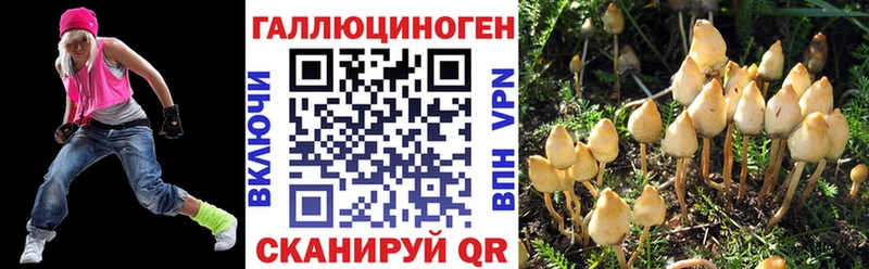 Купить закладки  Жиздра  Псилоцибиновые грибы ЛСД 